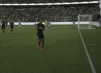Celebrate Lets Go GIF by Major League Soccer