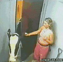 door cow GIF by Cheezburger