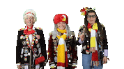 Carnaval Brabant Sticker by Oeteldonk Online