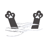 elistorycriativo cat gato gatinho elistorycriativo pata de gato Sticker