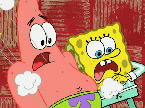 season 6 pet or pets GIF by SpongeBob SquarePants