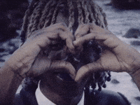 Music Video Seals GIF