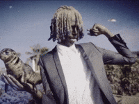 Music Video Seals GIF