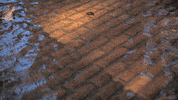 water perfect loop GIF by Living Stills