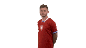 Pose Ceskarepre Sticker by 2score