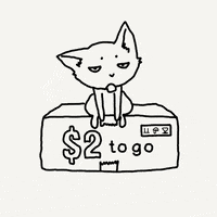 Cat Fun GIF