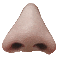 moztech moztech 墨子科技 墨子拼圖 Sticker