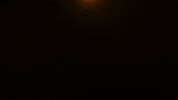 chicken cooking GIF by Grillax®