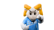 North Carolina Baseball Sticker by UNC Tar Heels