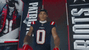 Football Nfl GIF by New England Patriots