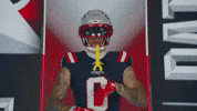 Football Nfl GIF by New England Patriots