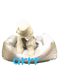 아르르 Sticker by arrr_official