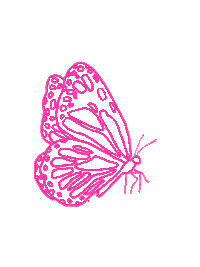 styrareesedesigns fun pop butterfly trendy Sticker