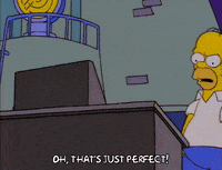 homer simpson GIF