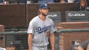 kershaw GIF by MLB