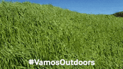 california spring GIF by Latino Outdoors