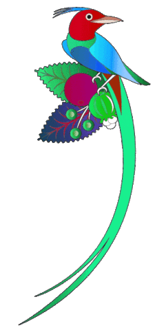 Bird Jungle Sticker