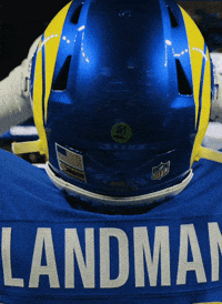 Los Angeles Rams Football GIF