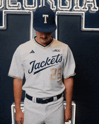 Georgia Tech Baseball GIF by Georgia Tech Yellow Jackets