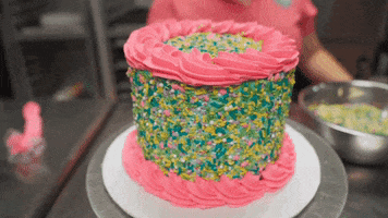 thecakegirlllc cake florida bakery tampa GIF
