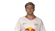 rb leipzig Sticker by Bundesliga