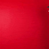 Texas Tech GIF by Texas Tech Baseball