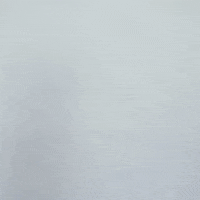 Texas Tech GIF by Texas Tech Baseball