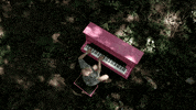 rocco de villiers piano GIF by Universal Music Africa