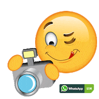 Cheese Wow Sticker by WhatsApp SIM