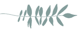 Weekday Deutsch Sticker by feierSun