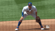 Sad Ny Mets GIF by New York Mets
