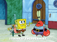 season 6 penny foolish GIF by SpongeBob SquarePants