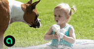 Startio trends foodies audiences consumer insights GIF