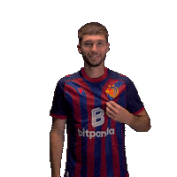 Football Soccer Sticker by FC Basel 1893