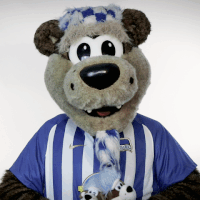 show GIF by Hertha BSC