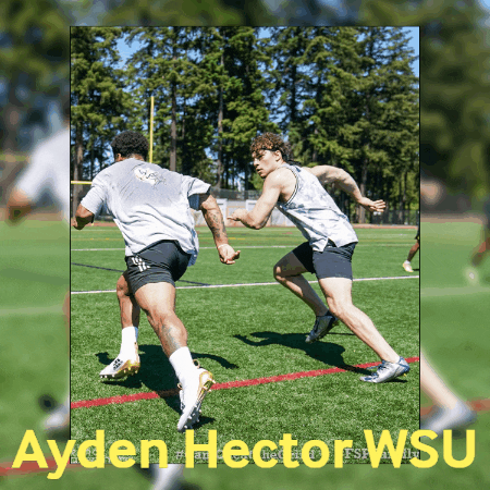 aydenhectorwsu giphygifmaker giphyattribution ayden hector wsu httpswwwbehancenetaydenhectorwsu1 GIF