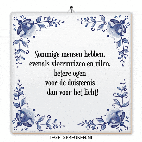 Nl Wijsheid GIF by Tegelspreuken.nl