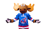 frustration wtf Sticker by Newcastle Northstars