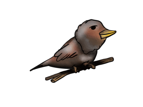 Bird Fly Sticker