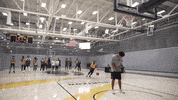 Basketball Wisconsin GIF by Milwaukee Panthers
