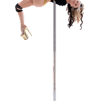 BKKP pole pole dance pole dancer bees knees Sticker