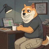 Confused Shiba Inu GIF by Doge Pound
