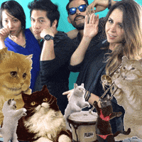 GIF by GIPHY CAM