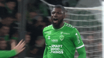 France Football GIF by AS Saint-Étienne