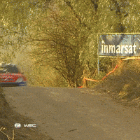Carlos Sainz Motorsport GIF by FIA World Rally Championship