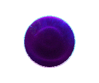 Back In Time Event Sticker by Disneyland Paris