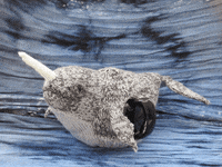 TeaCosyFolk knitting knit teacosyfolk tea cosy GIF