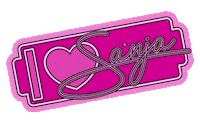 Sao Jose Sjc Sticker