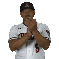 Sticker by Arizona Diamondbacks