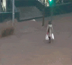 workout fail fails GIF